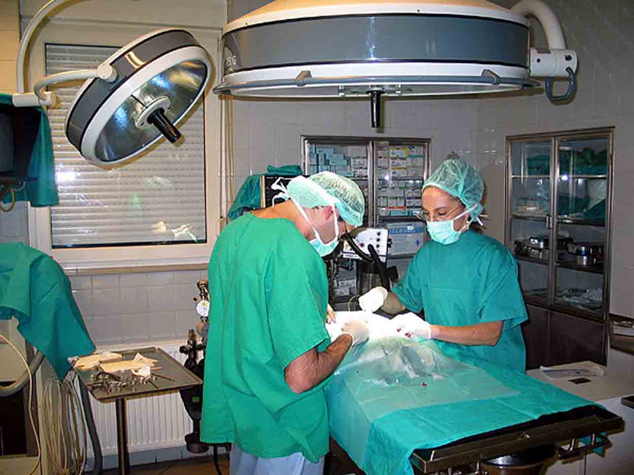 Sanità: arriva il TripAdvisor degli ospedali Sanità: arriva il TripAdvisor degli ospedali