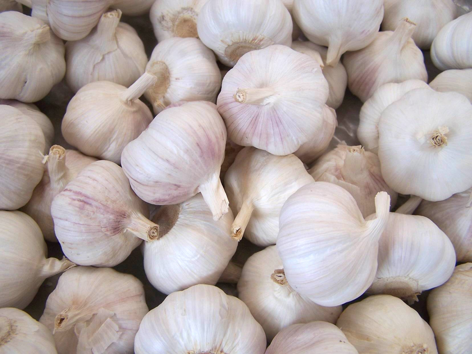 5 Verdure che non dovresti Mai eliminare dalla tua Dieta e che dovresti Mangiare più Spesso 5 Verdure che non dovresti Mai eliminare dalla tua Dieta e che dovresti Mangiare più Spesso