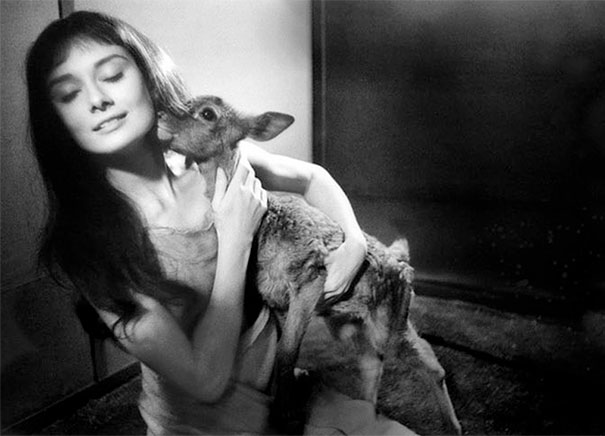 10 Scatti Inediti E Mai Visti Della Divina Audrey Hepburn 10 Scatti Inediti E Mai Visti Della Divina Audrey Hepburn