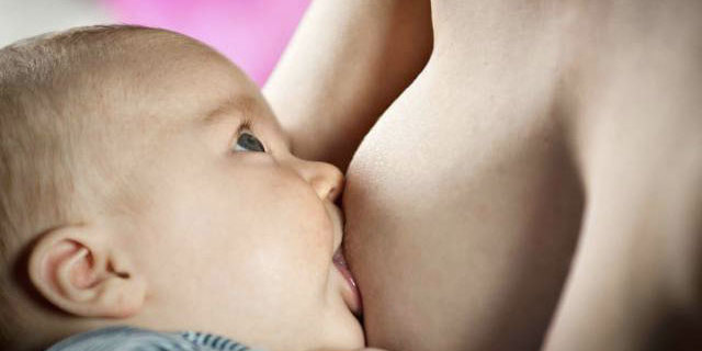 (foto: Web)