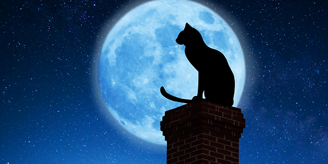 Scatto Intercambiabile In Vetro 18mm – Luna Piena Con Gatto Per Snap Fit Ginger