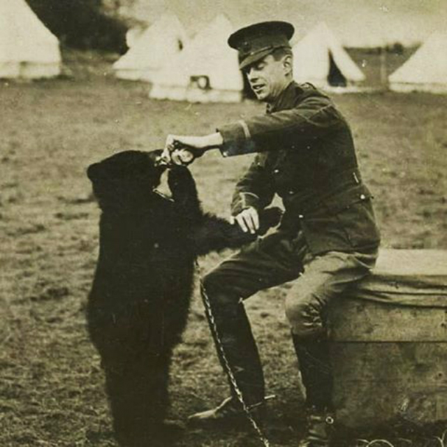 vera storia winnie the pooh