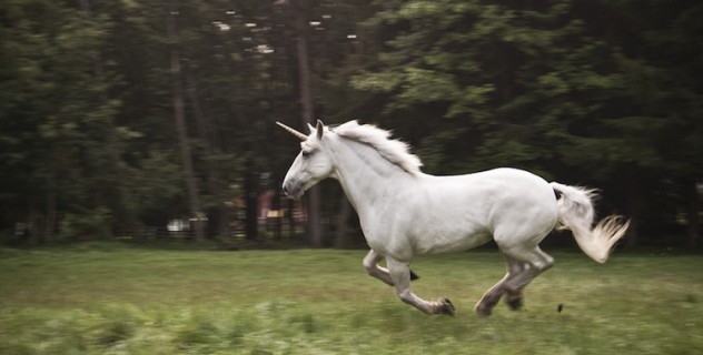 Gli Unicorni Sono Realmente Esistiti... Anche Se Erano Molto Diversi Da Come Li Immaginiamo Gli Unicorni Sono Realmente Esistiti... Anche Se Erano Molto Diversi Da Come Li Immaginiamo