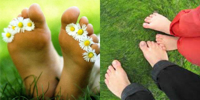 Fonte: Pinterest