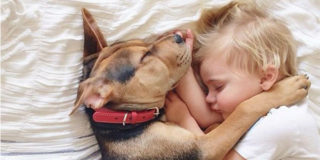 Cane e bambino sotto lo stesso tetto