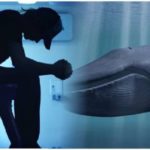 La Balena Felice e la Pink Whale contro Blue Whale, il gioco del suicidio social