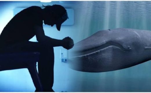 La Balena Felice e la Pink Whale contro Blue Whale, il gioco del suicidio social La Balena Felice e la Pink Whale contro Blue Whale, il gioco del suicidio social