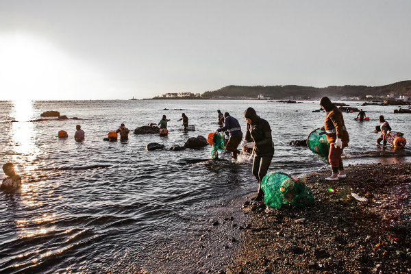 Chi sono le haenyeo, le ultime sirene del mare
