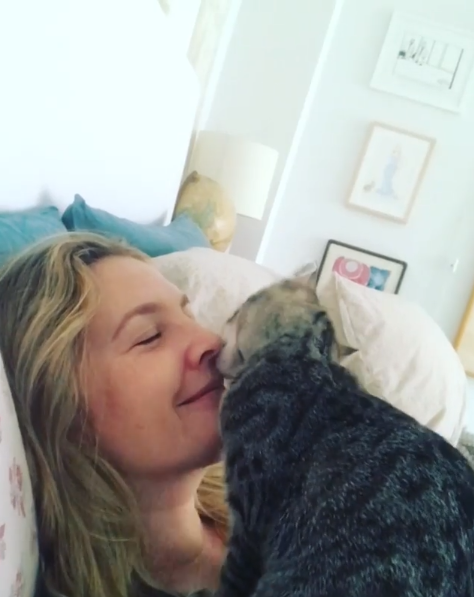 Ode all'imperfezione: il potente messaggio di Drew Barrymore alle neomamme
