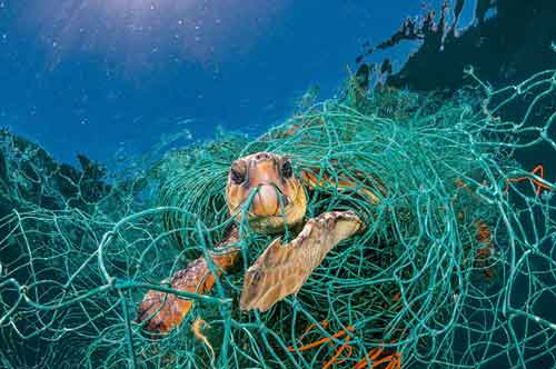 Il pianeta di plastica: come stiamo uccidendo la nostra terra