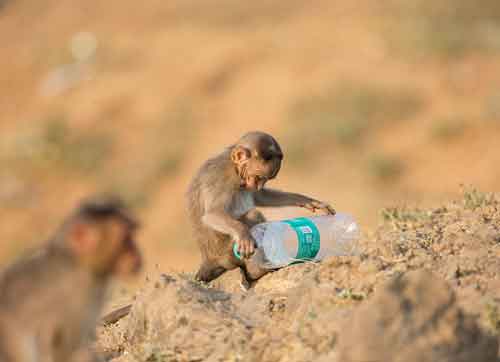 Il pianeta di plastica: come stiamo uccidendo la nostra terra