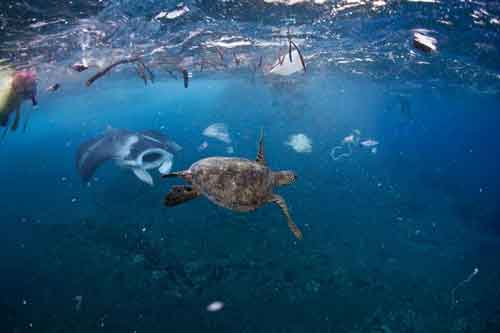 Il pianeta di plastica: come stiamo uccidendo la nostra terra