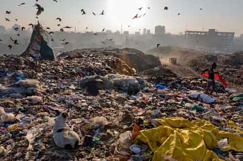 Il pianeta di plastica: come stiamo uccidendo la nostra terra