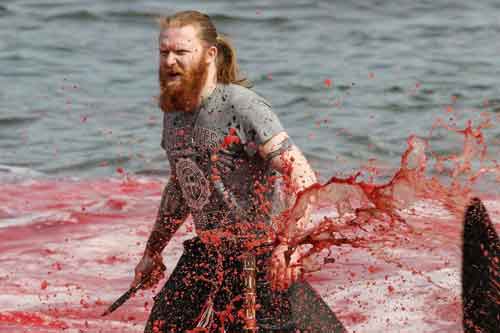 Cos'è il Grindadráp, la mattanza delle balene nelle isole Faroe