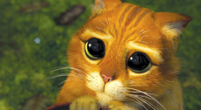 10 cose che devi sapere prima di uscire con un’amante dei gatti