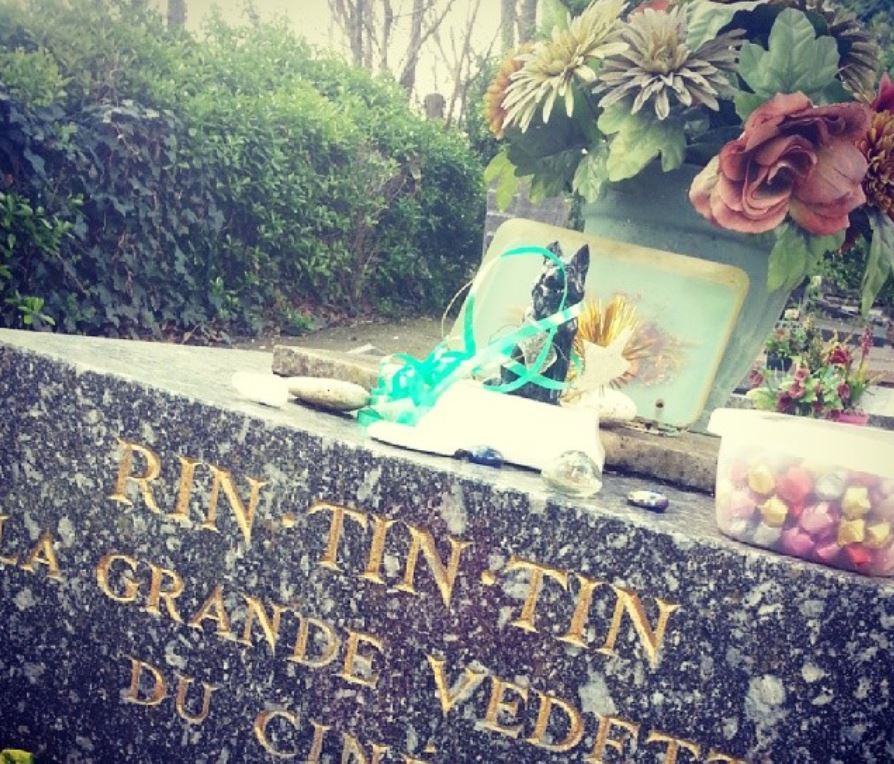 Il cimitero degli animali dove dormono l'"eterno risposo" cani e gatti vip
