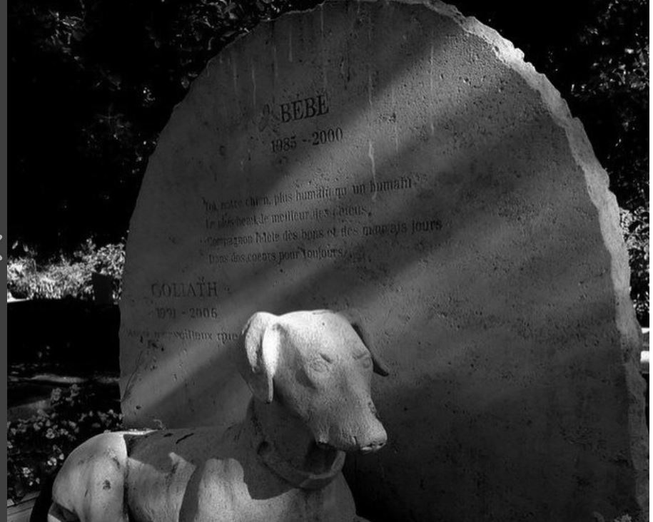 Il cimitero degli animali dove dormono l'"eterno risposo" cani e gatti vip