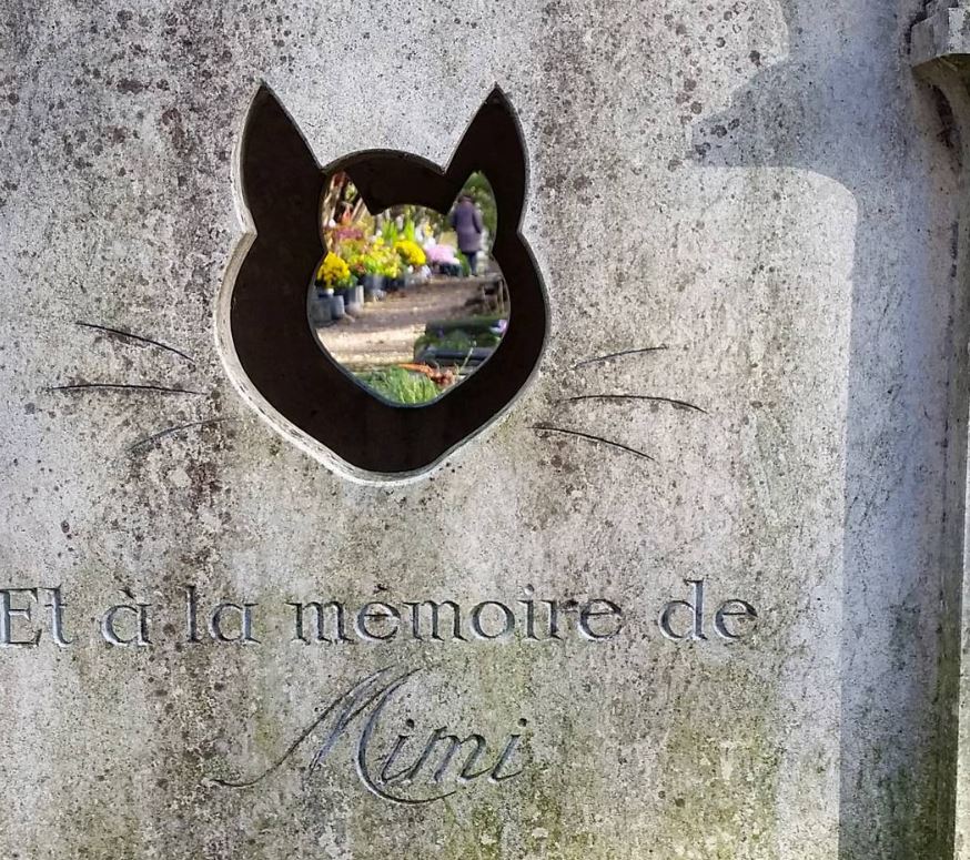 Il cimitero degli animali dove dormono l'"eterno risposo" cani e gatti vip