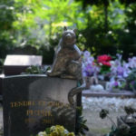 Il cimitero degli animali dove dormono l'"eterno risposo" cani e gatti vip