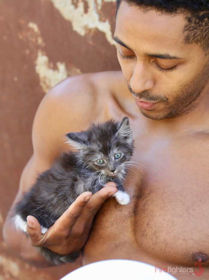 Il calendario 2019 dei pompieri australiani: in posa con gli animali per beneficenza
