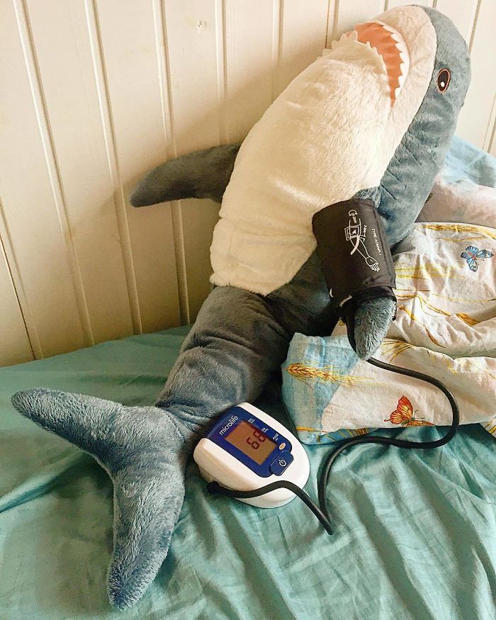 25 cose fuori dal normale che può fare uno squalo... se è un peluche Ikea