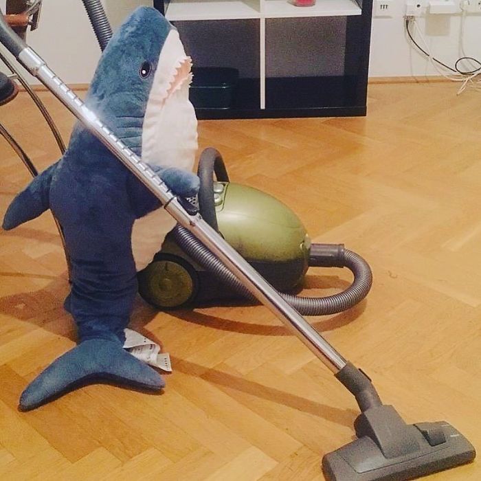 25 cose fuori dal normale che può fare uno squalo... se è un peluche Ikea