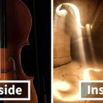 11 immagini bellissime di com'è la musica vista da dentro