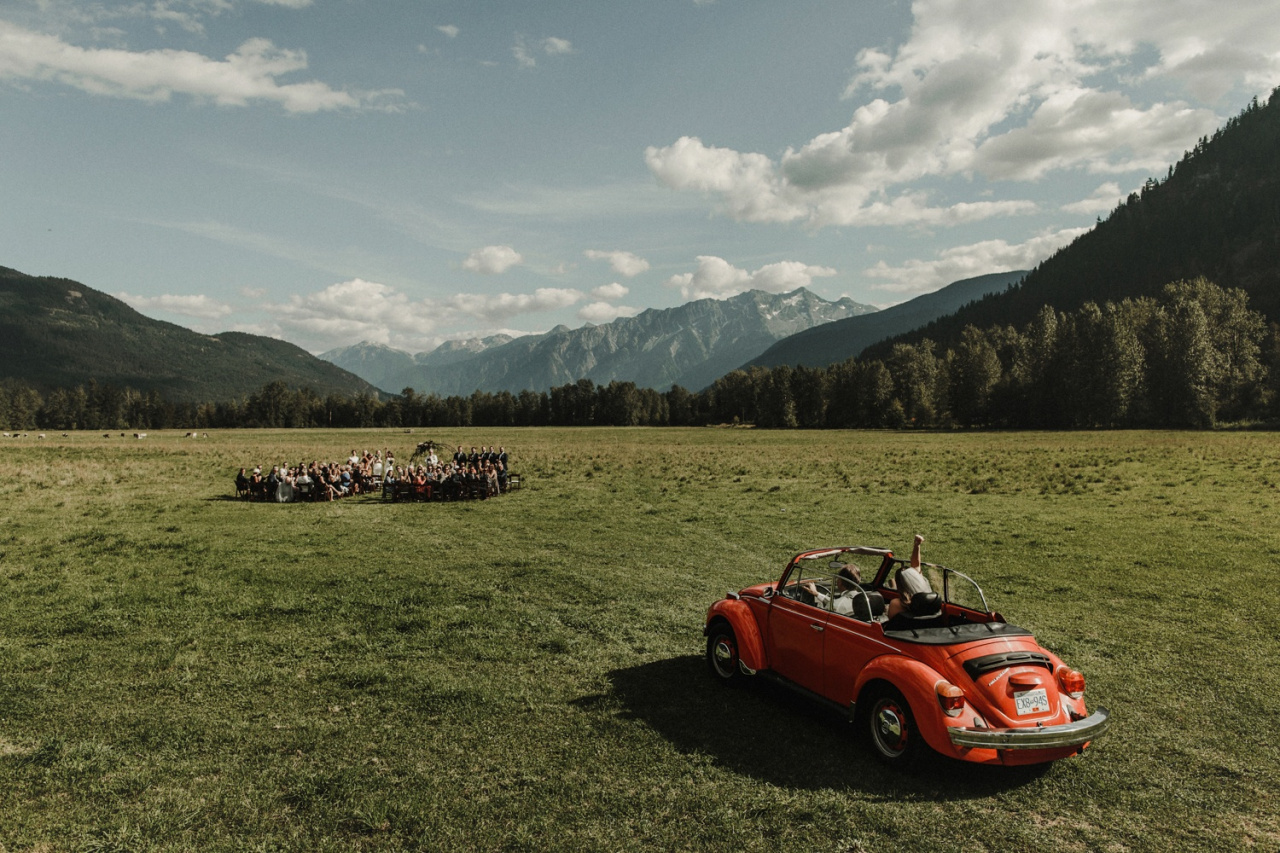 Le più belle foto di matrimonio del 2018