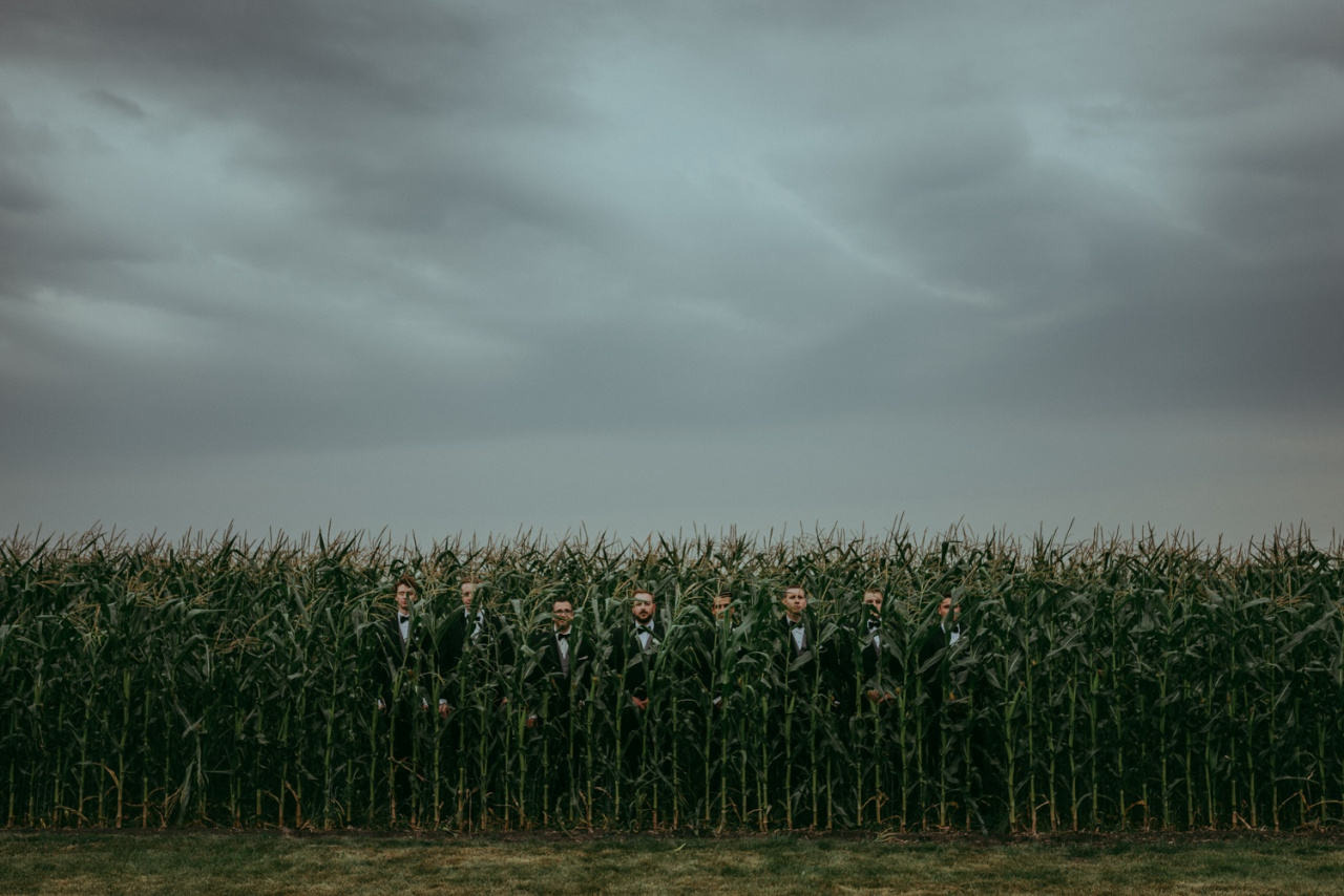 Le più belle foto di matrimonio del 2018