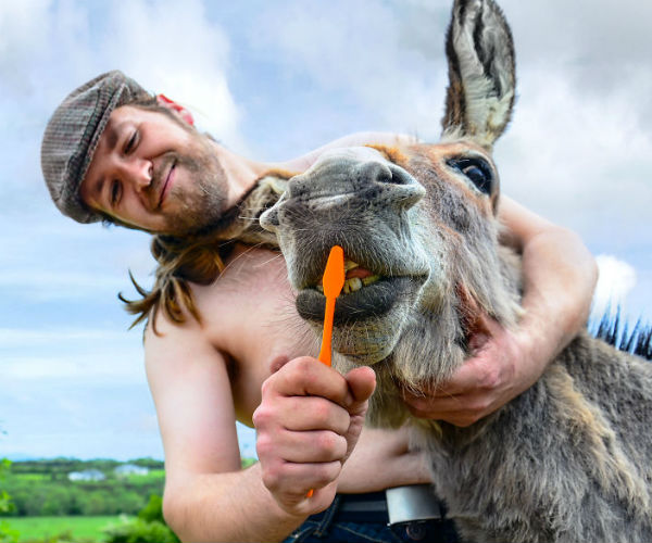 Perché il calendario 2019 dei contadini irlandesi è la cosa più bella per iniziare