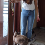 Solo chi ha un gatto può capire