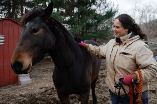 Perché in America regalano 1000 $ a chi sceglie di adottare un cavallo selvatico