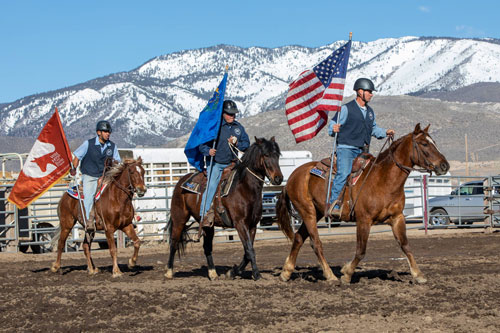 Perché in America regalano 1000 $ a chi sceglie di adottare un cavallo selvatico