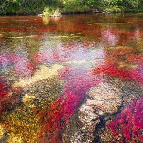 Viaggio lungo il fiume dalle acque color arcobaleno