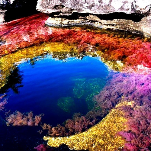 Viaggio lungo il fiume dalle acque color arcobaleno