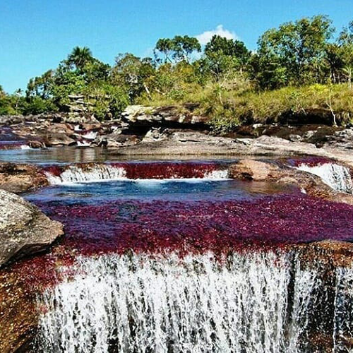 Viaggio lungo il fiume dalle acque color arcobaleno