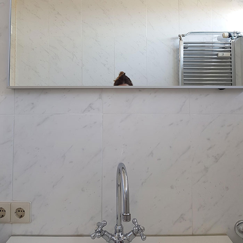 30 specchi che rendono impossibile qualsiasi selfie normale in bagno
