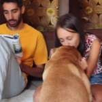 Donne e cani