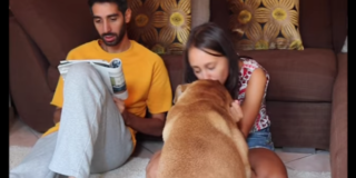 Cani e donne