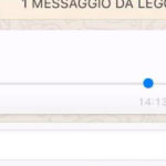 L'agghiacciante vocale della "signora perbene" di Milano a una ragazza del Sud