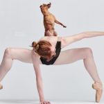 Danza con me: 20 ballerini e ballerine ballano con i loro cani