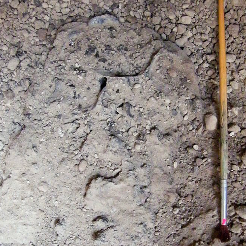 Come sono morti davvero gli abitanti di Pompei ed Ercolano?