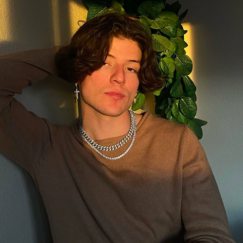Sei un Tik Tok influencer? Mai pensato di entrare in collab house e guadagnare?
