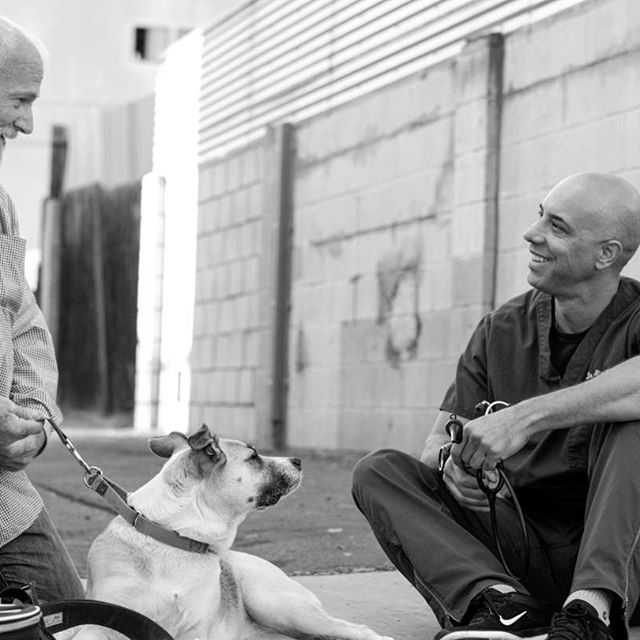 Chi è il Dottor Stewart, il veterinario che cura gli animali dei senzatetto