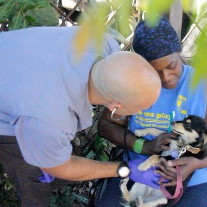 Chi è il Dottor Stewart, il veterinario che cura gli animali dei senzatetto