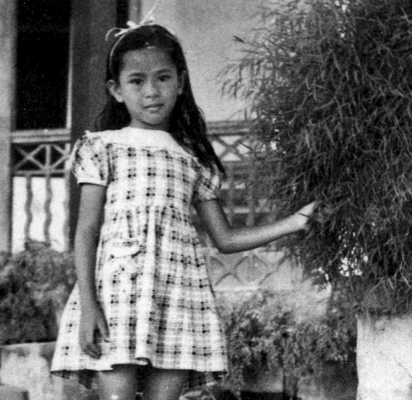 Aung San Suu Kyi, un'eroina non violenta o responsabile di genocidio?