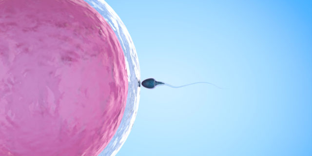Se non puoi sopportare l'idea di avere un* figli* trans, non avere figli Se non puoi sopportare l'idea di avere un* figli* trans, non avere figli