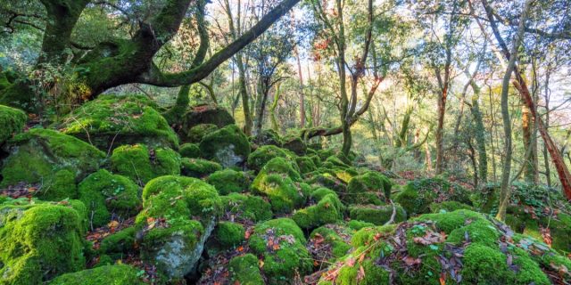 Gli ecovillaggi in Italia e nel mondo: dove sono e i principi che li regolano