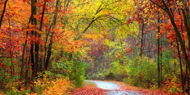 Foliage, posti da visitare che l'autunno rende magici Foliage, posti da visitare che l'autunno rende magici