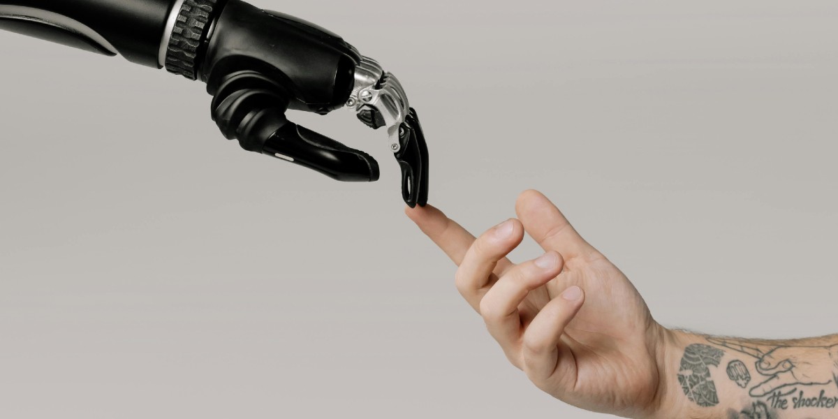creatività curiosità intelligenza emotiva
